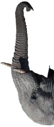 Minute Hand